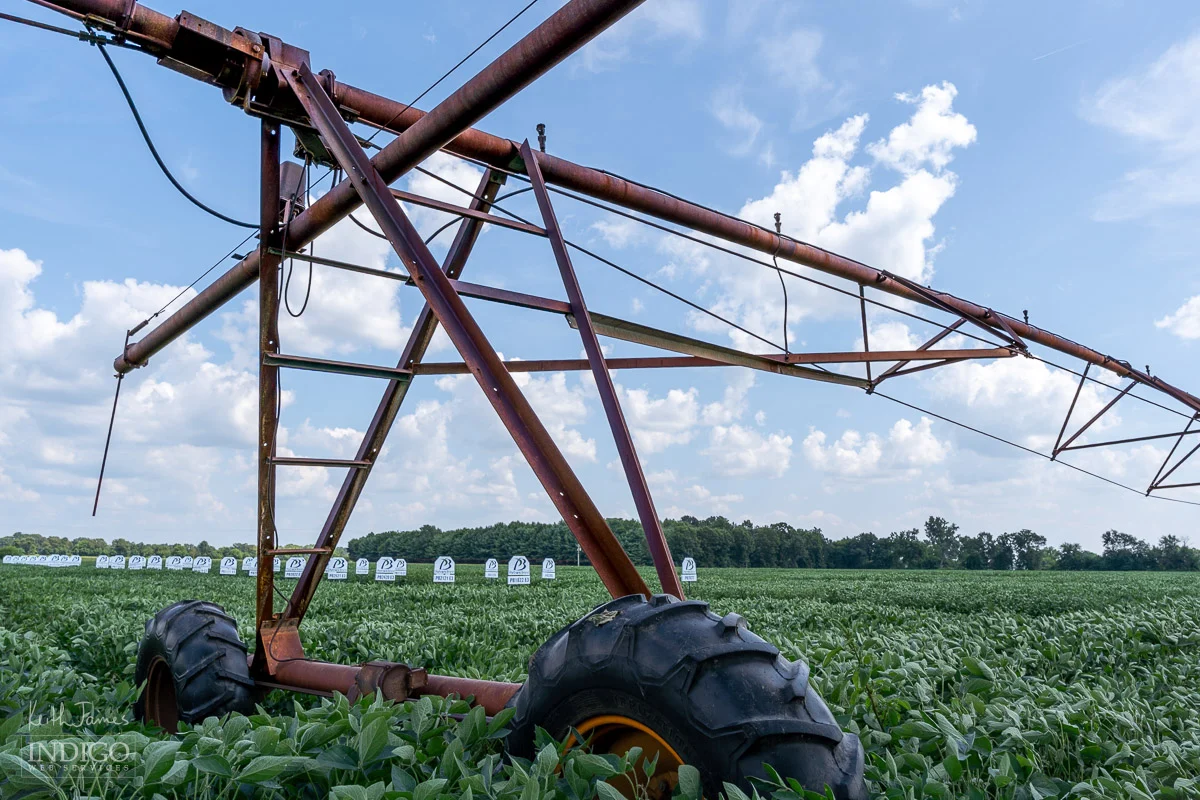 Irrigation pivot in a soybean field in northeast Indiana.