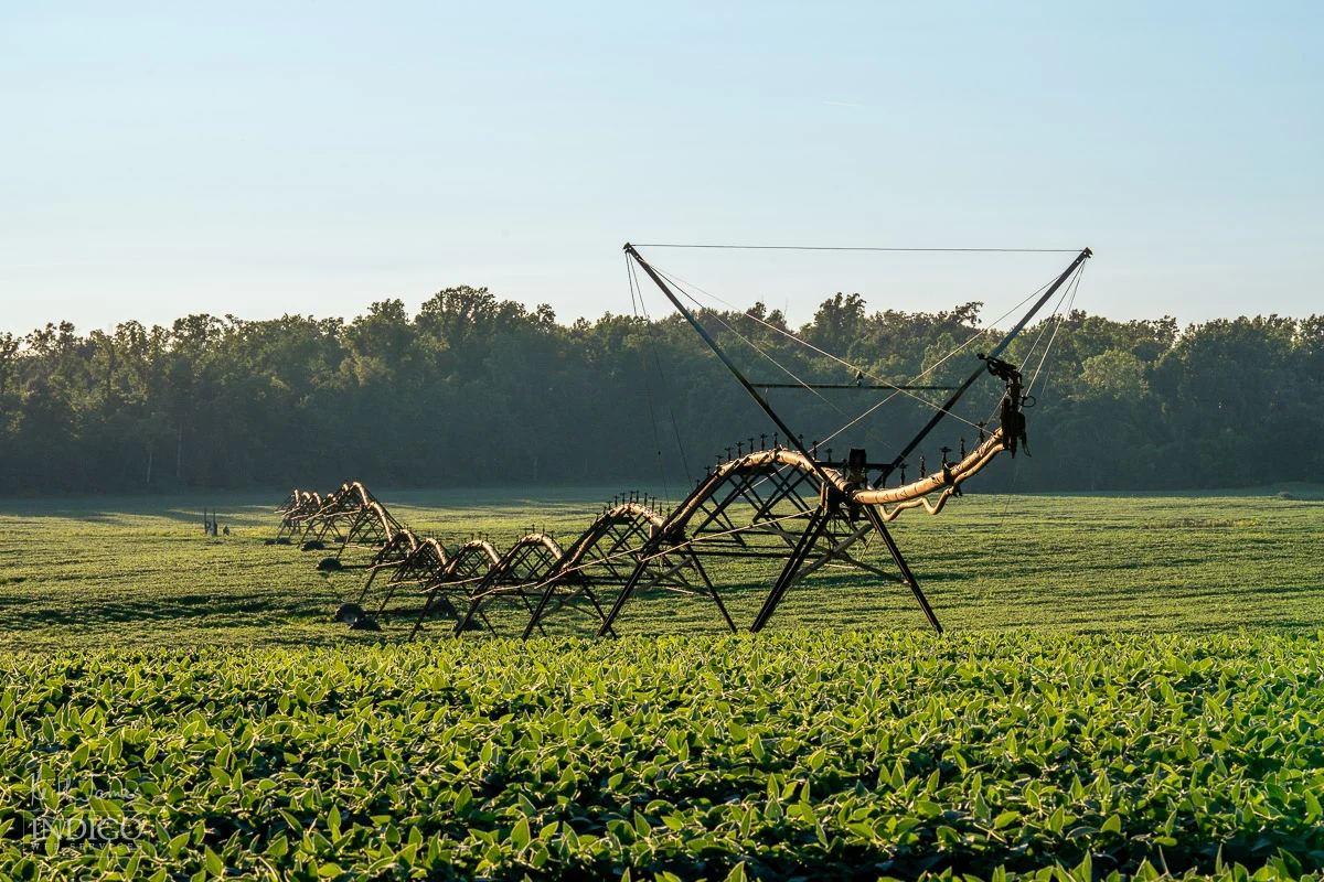 Irrigation pivot in a soybean field in northeast Indiana.