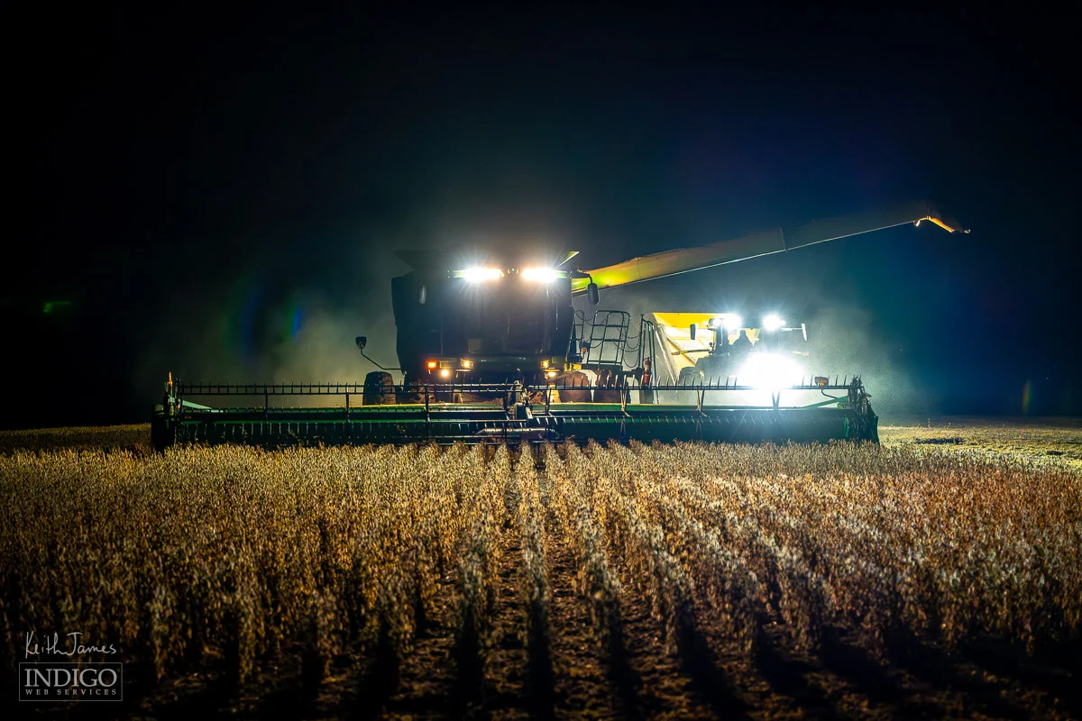Harvesting soybeans at night.