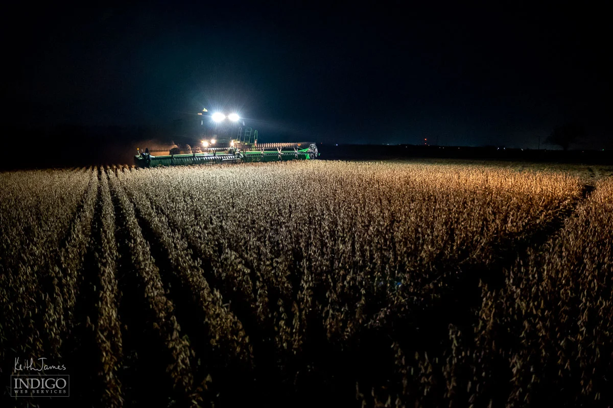Harvesting soybeans at night.